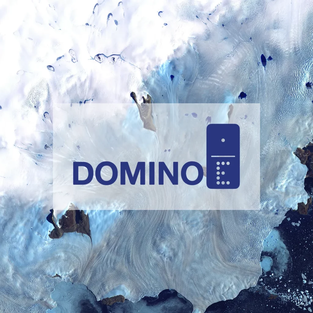 Domino-E-Project-Logo