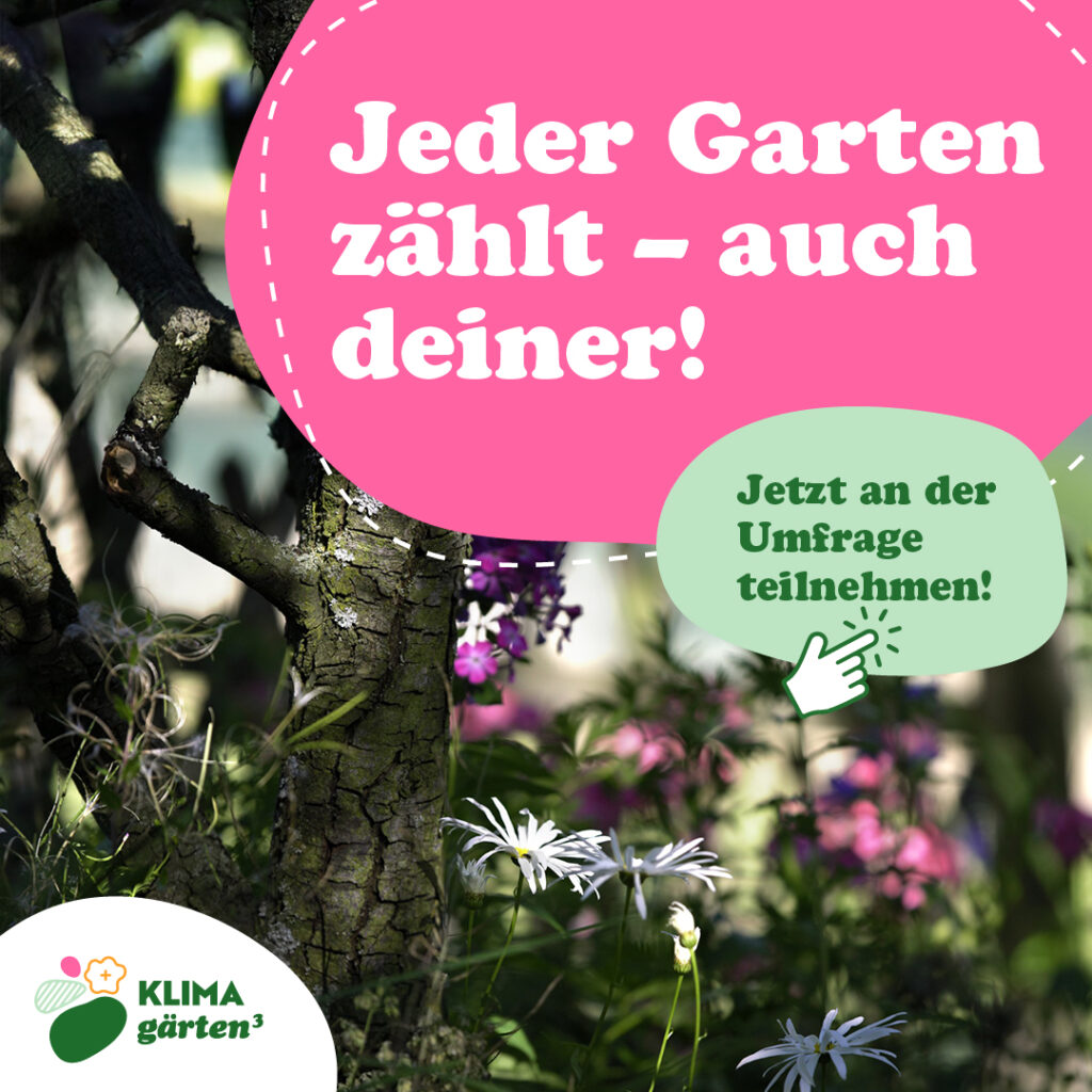 Social Media Posting