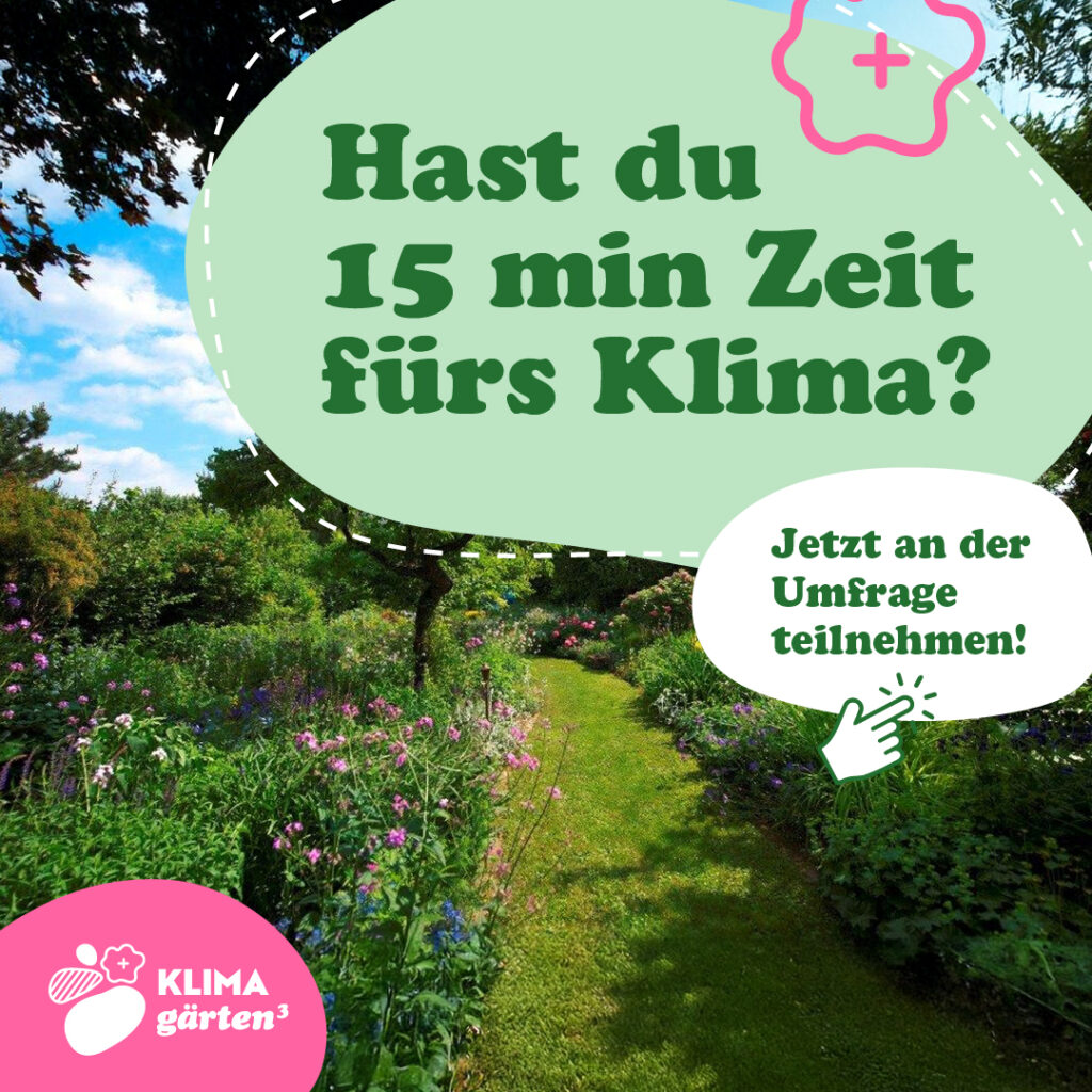 Social Media Posting