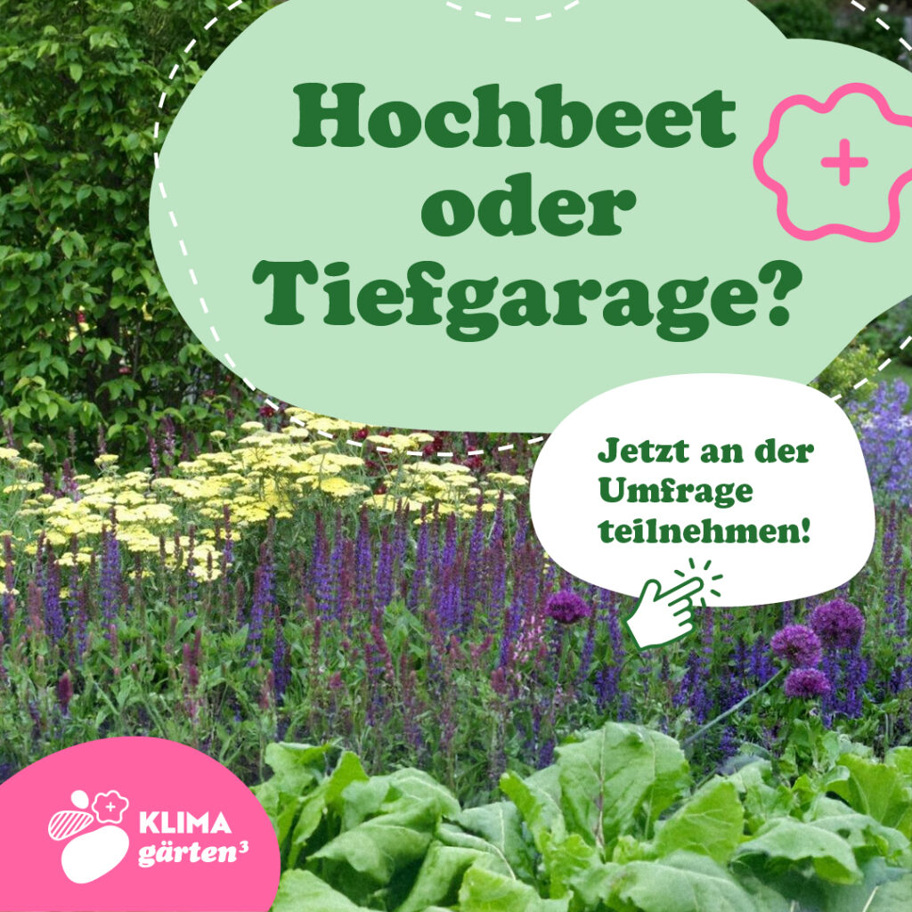 Social Media Posting