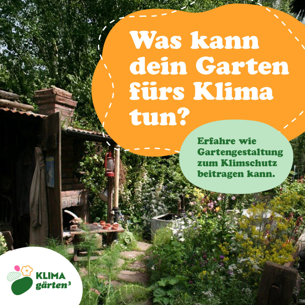 Social Media Posting